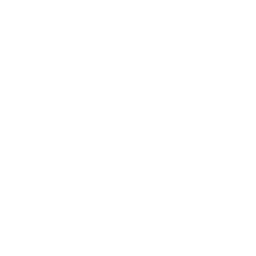 GP Auto's